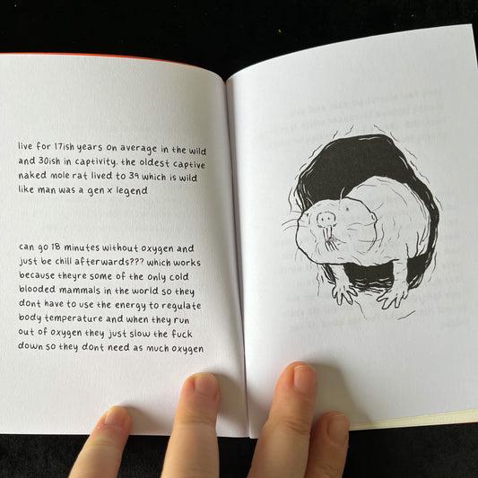 Naked Mole Facts Zine + Paper Doll!