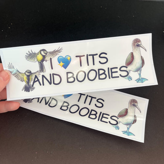 I Heart Tits and Boobies Bumper Sticker