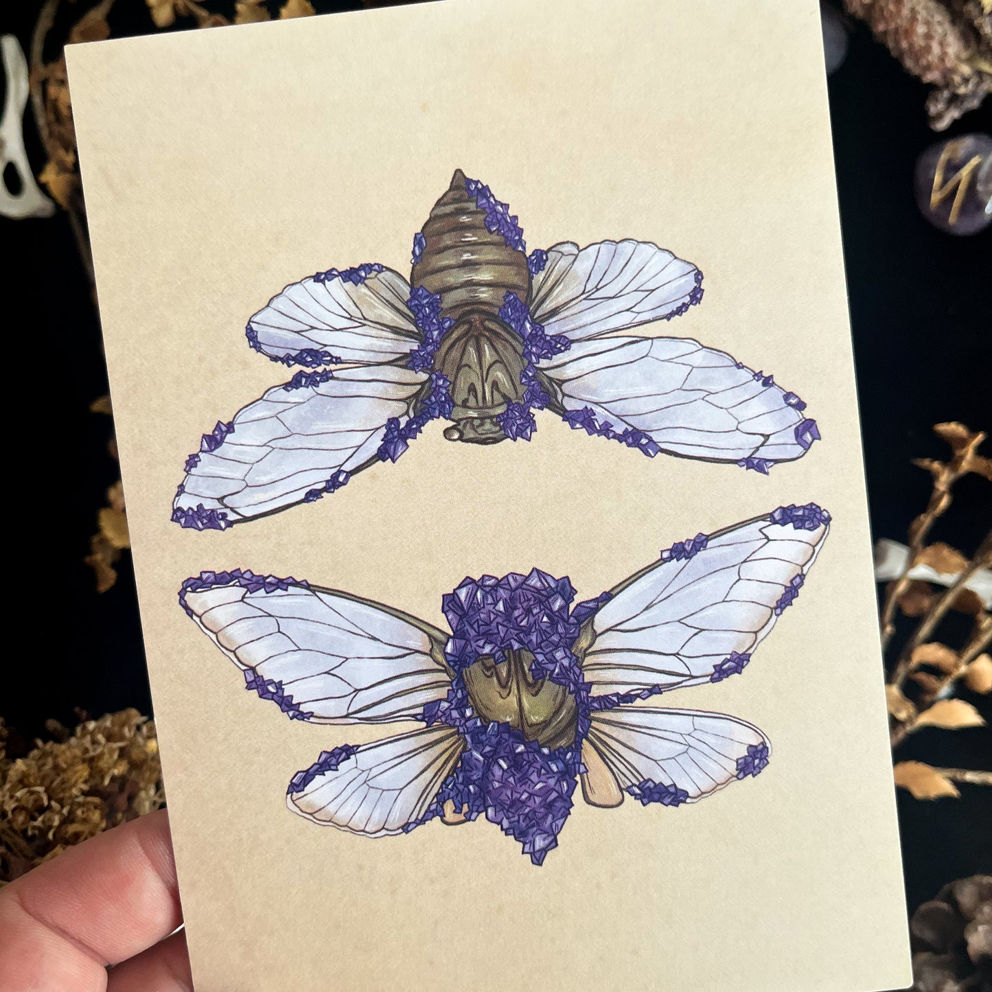 Crystal Cicada Postcard