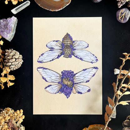 Crystal Cicada Postcard