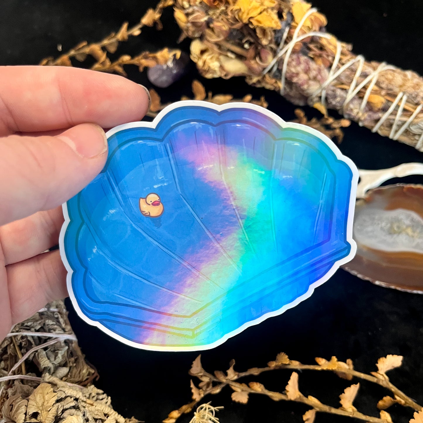 Shell Pool Holographic Sticker