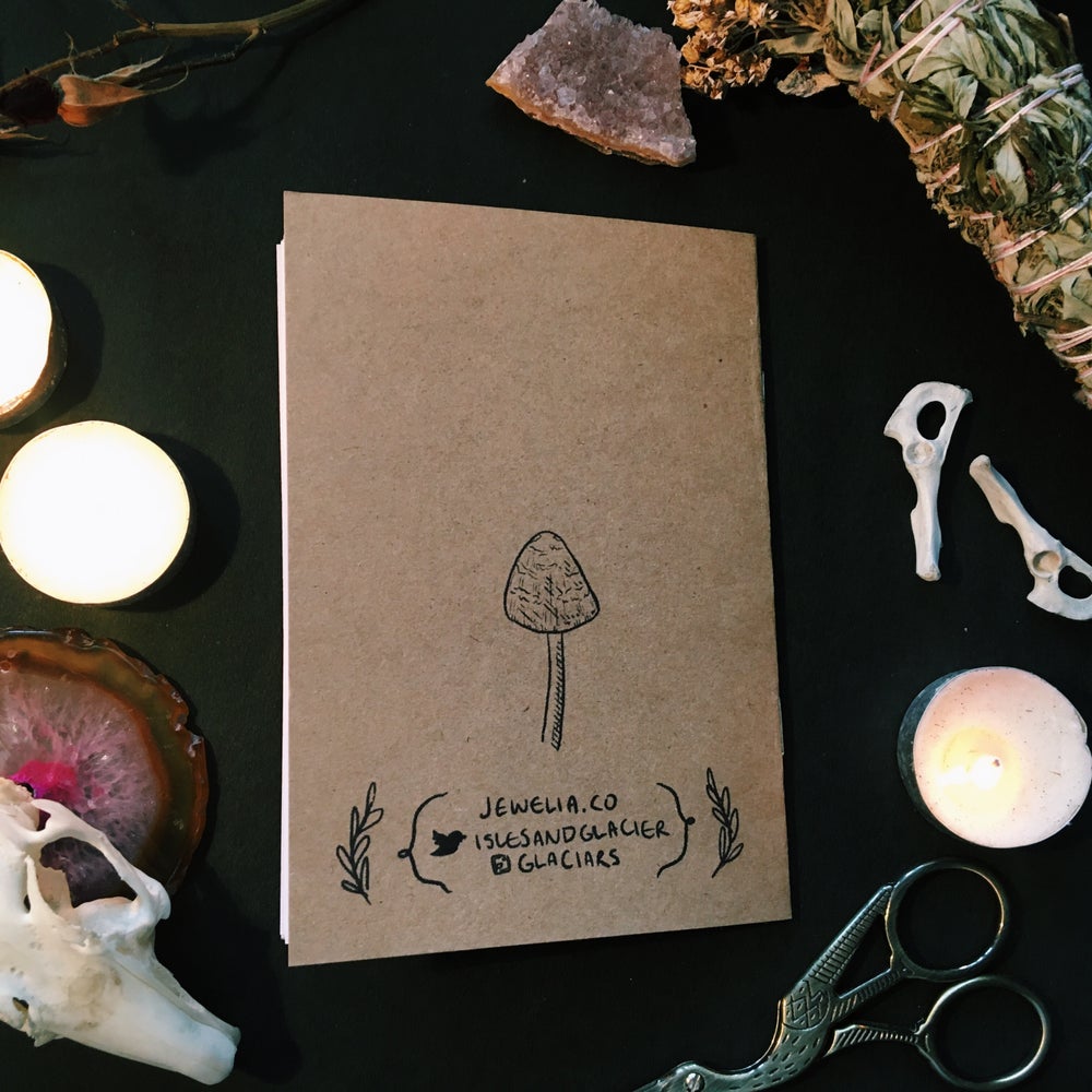 Cool Mushrooms with Weird Names Zine