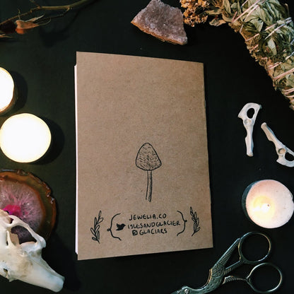 Cool Mushrooms with Weird Names Zine