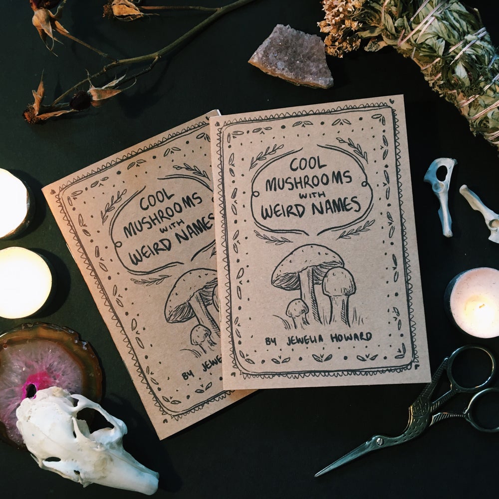 Cool Mushrooms with Weird Names Zine