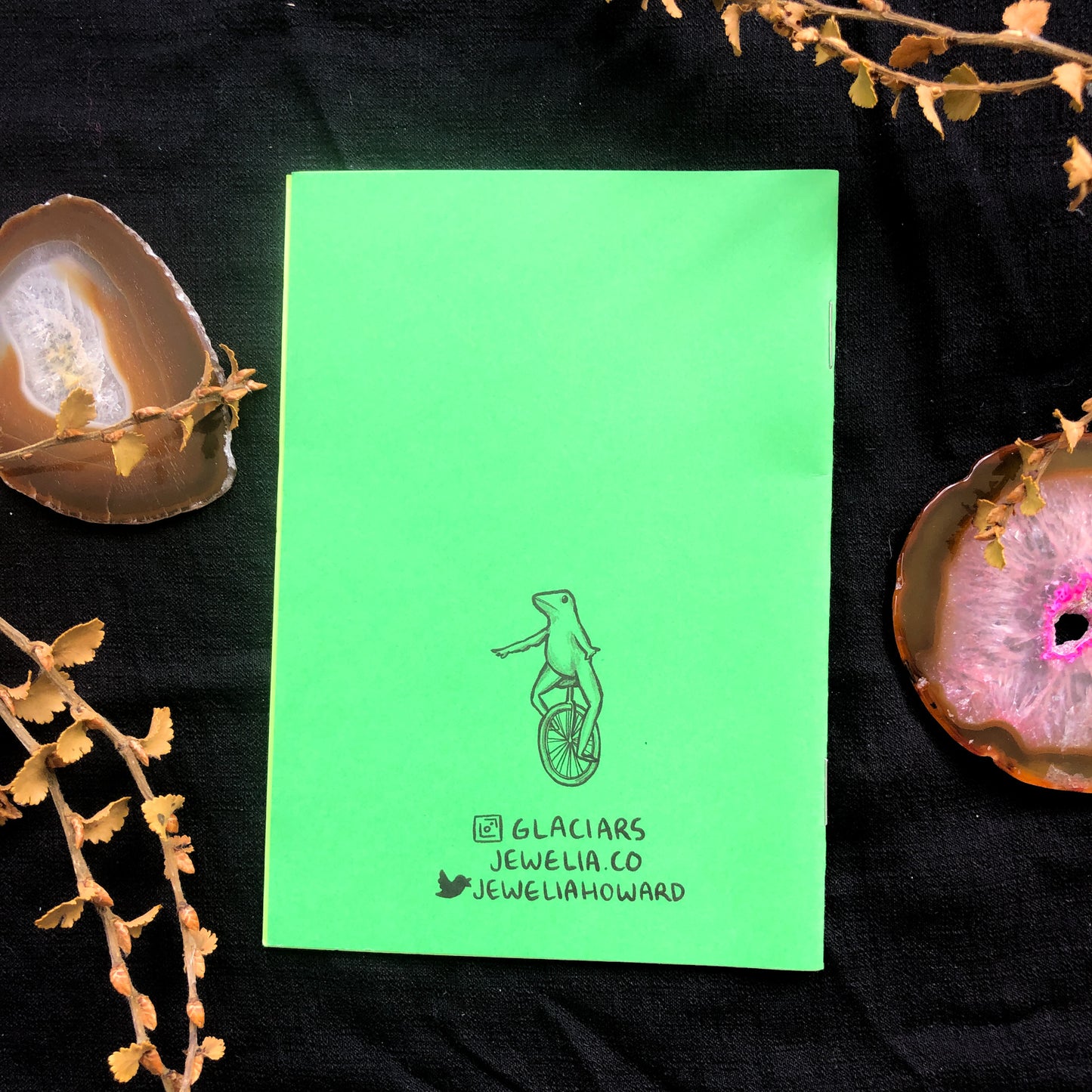 To All The Frogs I've Loved Before Zine