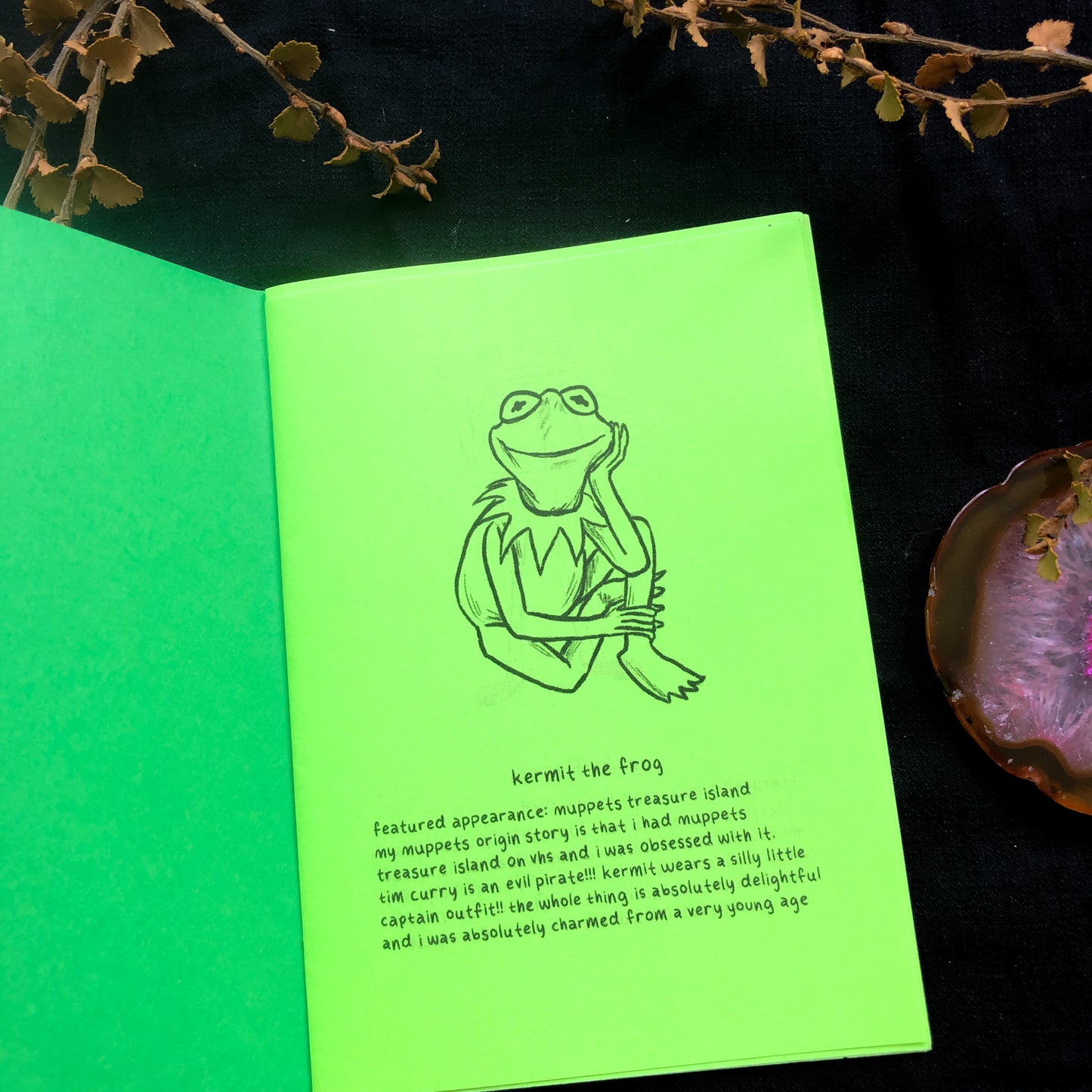To All The Frogs I've Loved Before Zine