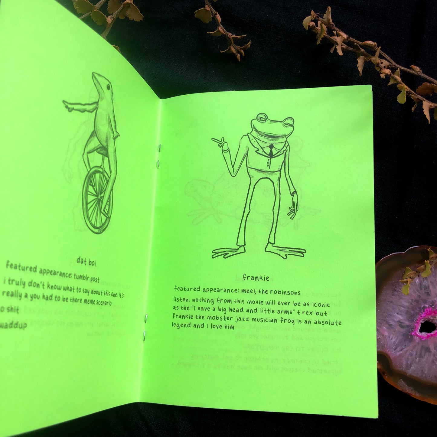 To All The Frogs I've Loved Before Zine